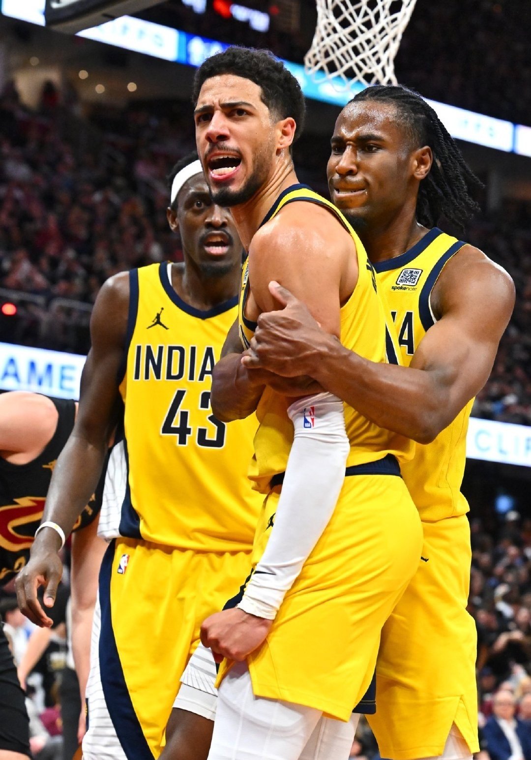 开云体育下载-比利时最近十场战绩